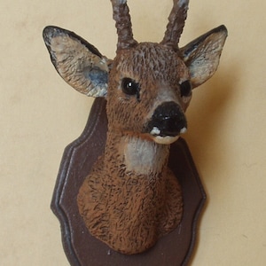 Male roe head trophy, realistically painted. 1/12 scale