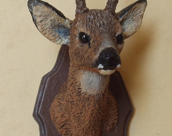 Male roe head trophy, realistically painted. 1/12 scale