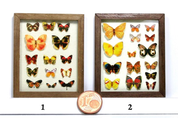 Poster Didattici In Miniatura Scala 1:12 – Tema Falene – Little Book Co - Foto 3