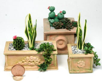 Miniature  potted plants, hand-crafted, 1/12 scale