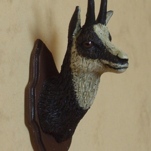 chamois head trophy, realistically painted.Real 1/12scale