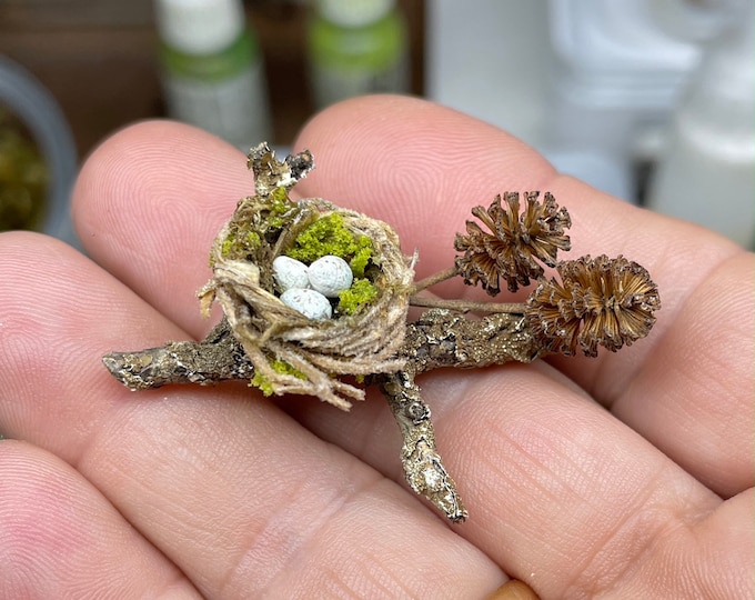 Featured listing image: Tiny bird nest, with eggs, scale 1/12