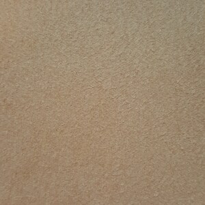 May include: A close-up of a light brown textured surface. The surface has a subtle grainy texture.