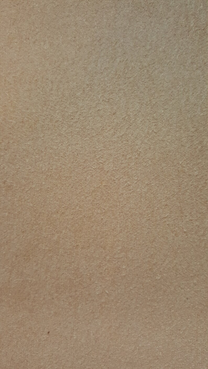 May include: A close-up of a light brown textured surface. The surface has a subtle grainy texture.