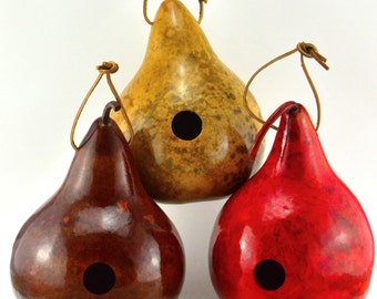 Gourd Birdhouses - Handmade Gourd Art -  Red - Mahogany - Yellow - One Birdhouse