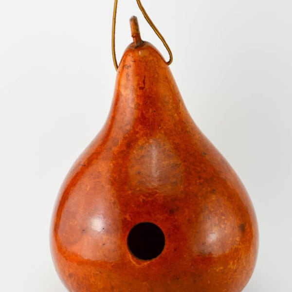 Gourd Birdhouses - Etsy