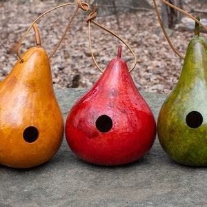 Wren House, Gourd Birdhouse,  Red, Light Green, Tan, Green, Yellow, Mahogany - one gourd birdhouse - Small