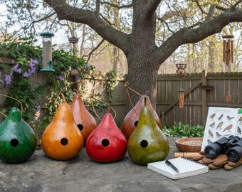 Small Gourd Birdhouse for Wrens – Handcrafted, Assorted Colors, Sealed for Outdoor Use