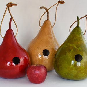 Wren House, Gourd Birdhouse, Red, Light Green, Natural Small 1 1/8 hole Wrens image 5