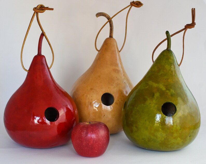 Wren House, Gourd Birdhouse, Red, Light Green, Natural Small 1 1/8 hole Wrens image 5