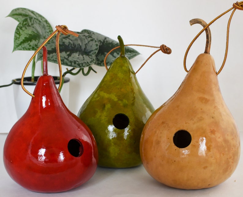 Wren House, Gourd Birdhouse, Red, Light Green, Natural Small 1 1/8 hole Wrens image 1