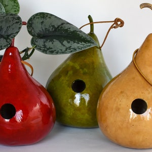 Wren House, Gourd Birdhouse, Red, Light Green, Natural Small 1 1/8 hole Wrens image 6