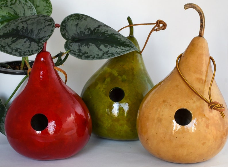 Wren House, Gourd Birdhouse, Red, Light Green, Natural Small 1 1/8 hole Wrens image 6