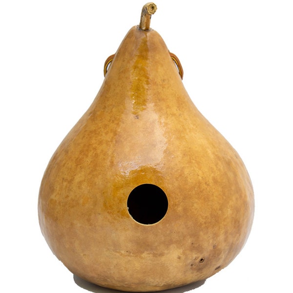 Gourd Birdhouse - Nichoir naturel - Cadeau de fête des mères