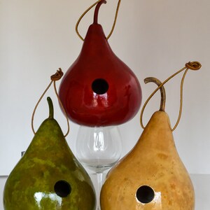 Wren House, Gourd Birdhouse, Red, Light Green, Natural Small 1 1/8 hole Wrens image 3