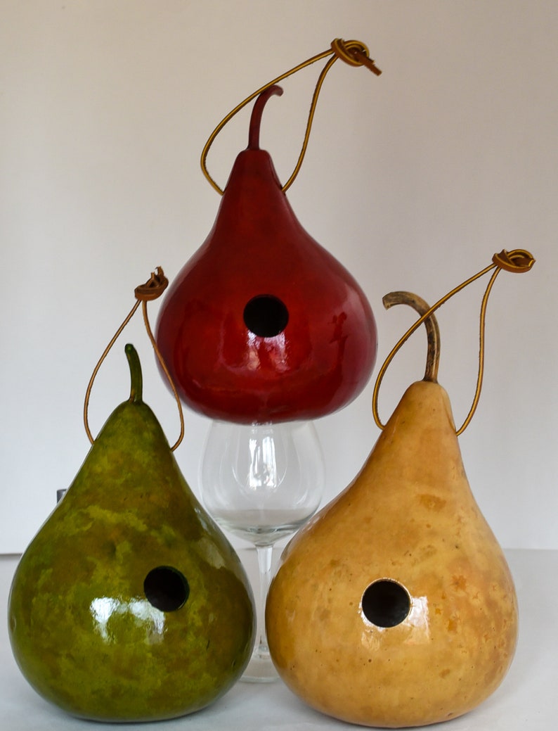 Wren House, Gourd Birdhouse, Red, Light Green, Natural Small 1 1/8 hole Wrens image 3