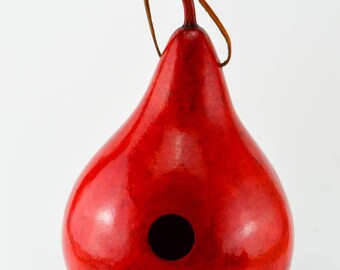 Gourd Birdhouses - Red Birdhouse - Martin House