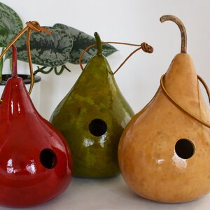 Wren House, Gourd Birdhouse, Red, Light Green, Natural Small 1 1/8 hole Wrens image 2