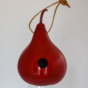 Wren House, Gourd Birdhouse, Red, Light Green, Natural Small 1 1/8 hole Wrens image 4