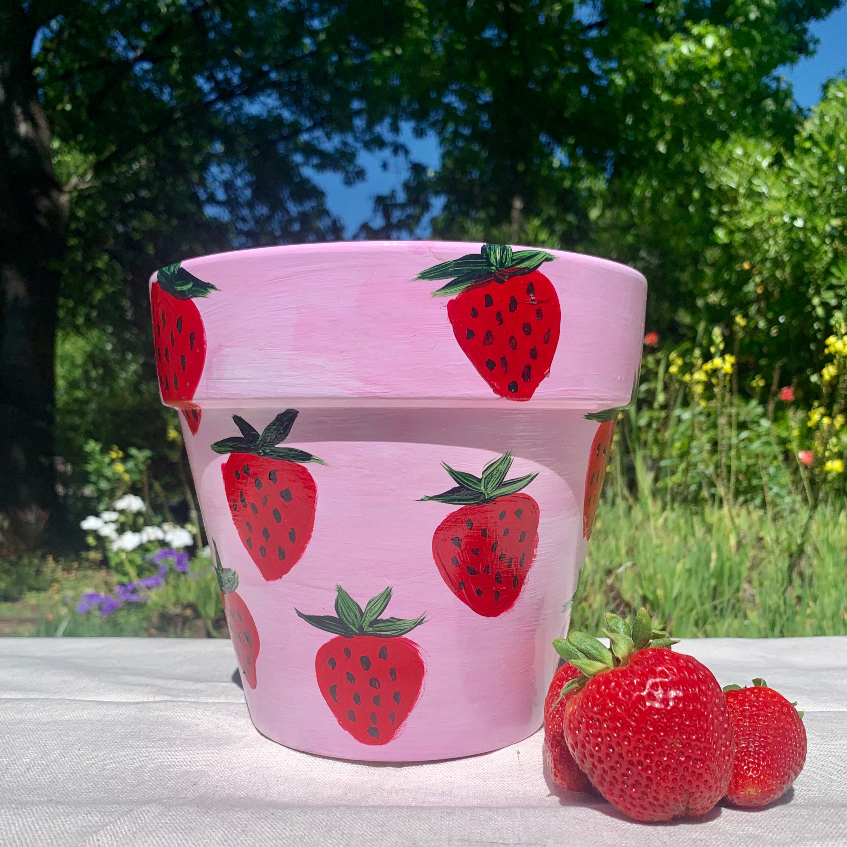 Strawberry Painted Terracotta Pot Etsy