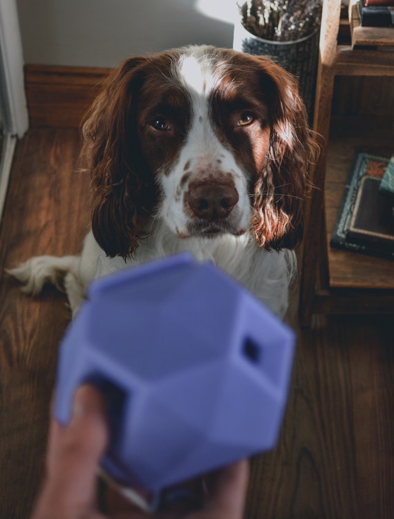 Treat Dispensing Toy, The Odin