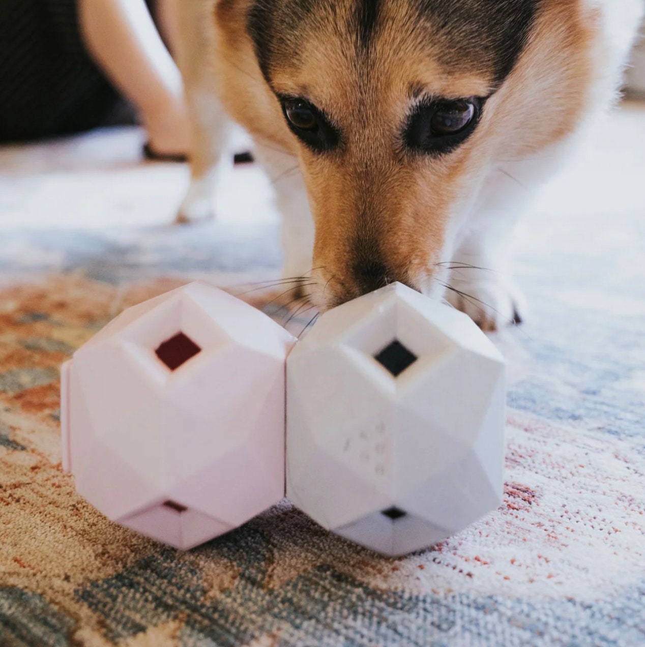 The Odin Dog Treat Puzzle Toy – The Pasl