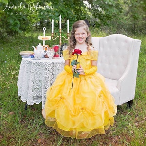 Belle inspired dress, belle dress , beauty and the beast, belle party, belle costume , Halloween costume