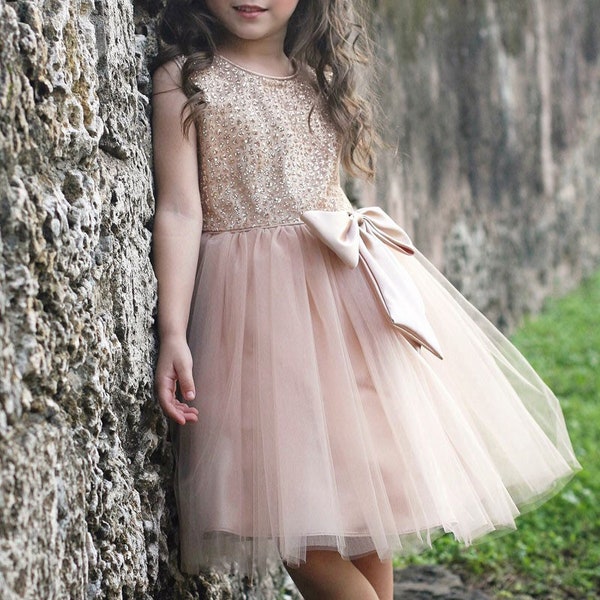 Flower girl dress / tulle dress/ camilla dress