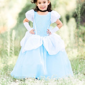 cinderella dress, cinderella party, cinderella birthdayparty, cinderella costume, cosplay, cinderella inspired image 1