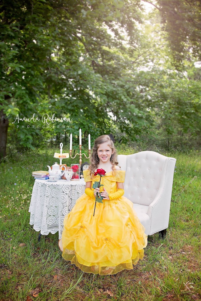 Belle inspired dress, belle dress , beauty and the beast, belle party, belle costume , Halloween costume image 1