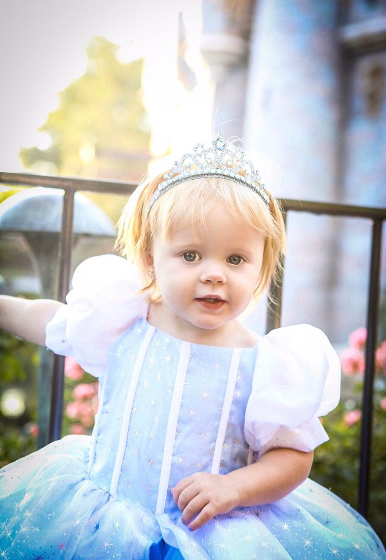 cinderella dress, cinderella party, cinderella birthdayparty, cinderella costume, cosplay, cinderella inspired 4pc image 1