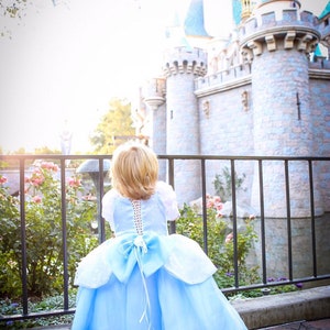 cinderella dress, cinderella party, cinderella birthdayparty, cinderella costume, cosplay, cinderella inspired 4pc image 4