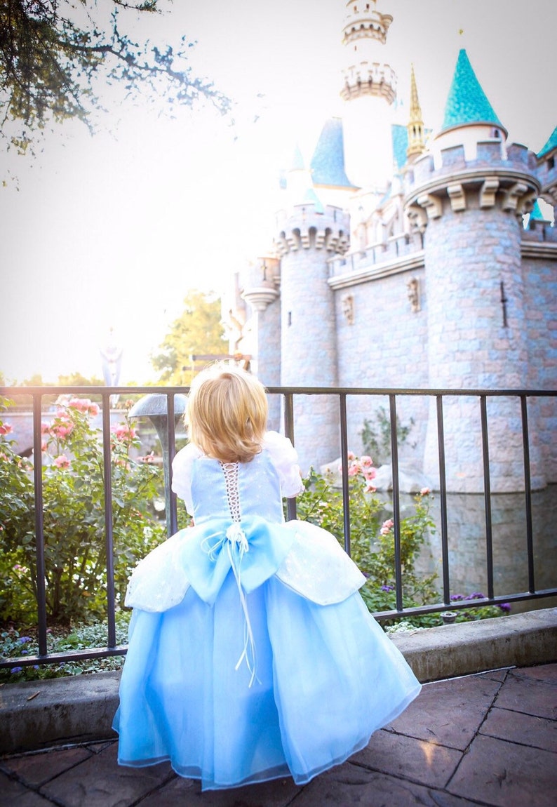 cinderella dress, cinderella party, cinderella birthdayparty, cinderella costume, cosplay, cinderella inspired 4pc image 4