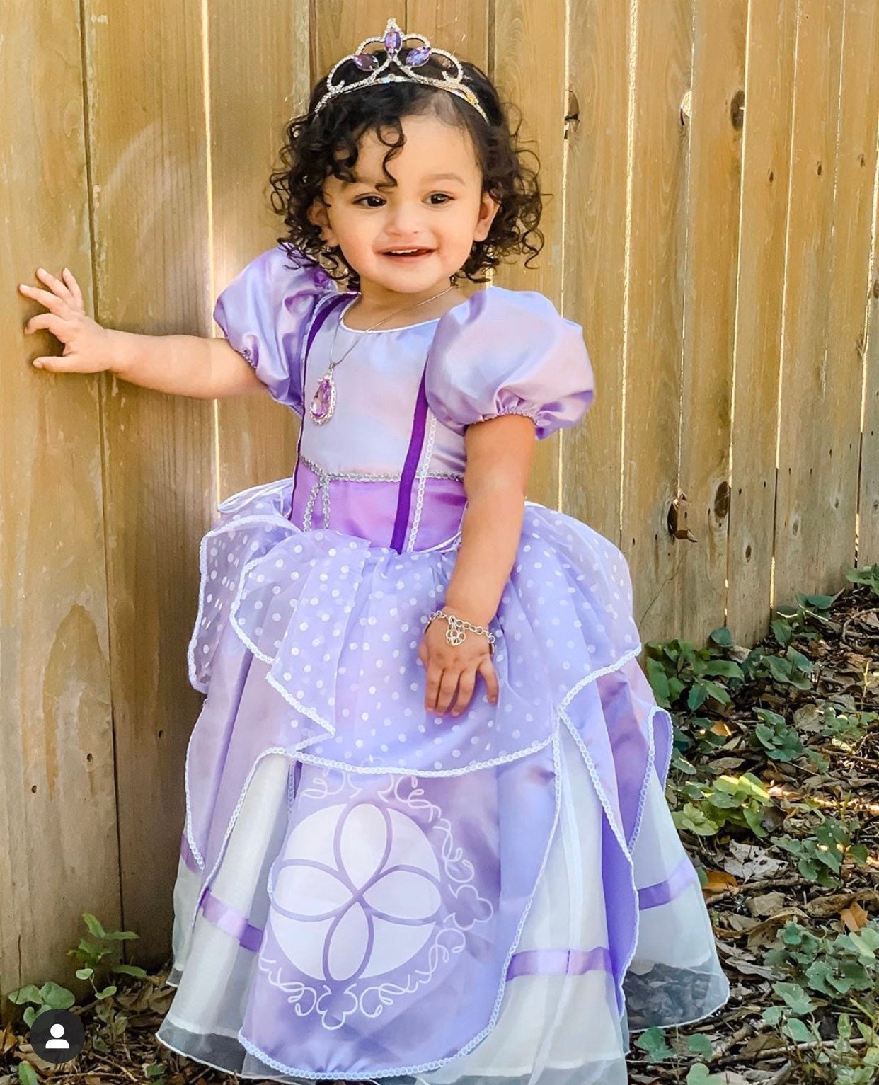 sofia the first dress