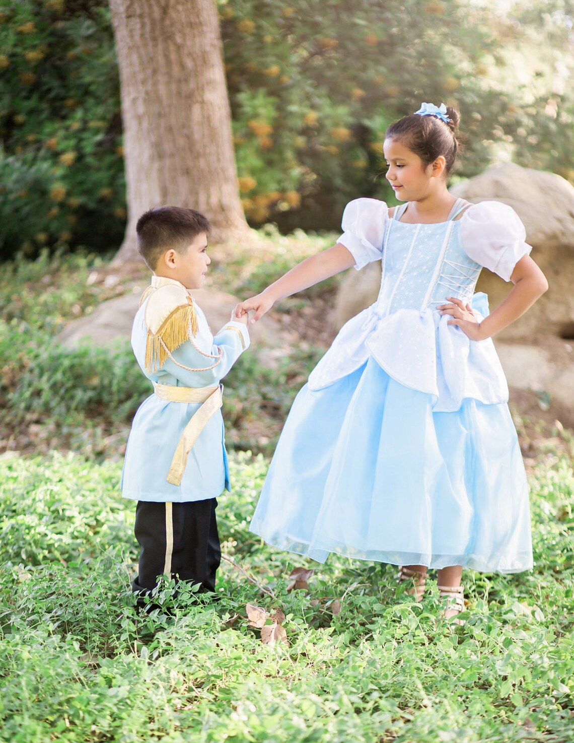 Prince Charming / Royal Prince / Cinderella Prince Charming - Etsy