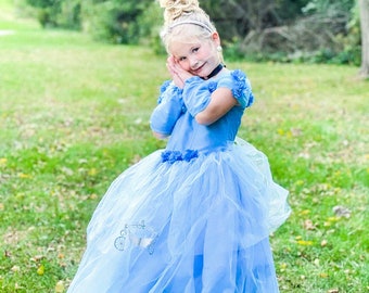 Cinderella Dress 4 piece set / Cinderella Party / Cinderella Dress up/ Christmas gift