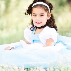 cinderella dress, cinderella party, cinderella birthdayparty, cinderella costume, cosplay, cinderella inspired image 2