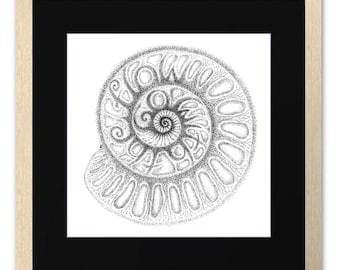 Geological Time Spiral Scale Print Poster - Etsy