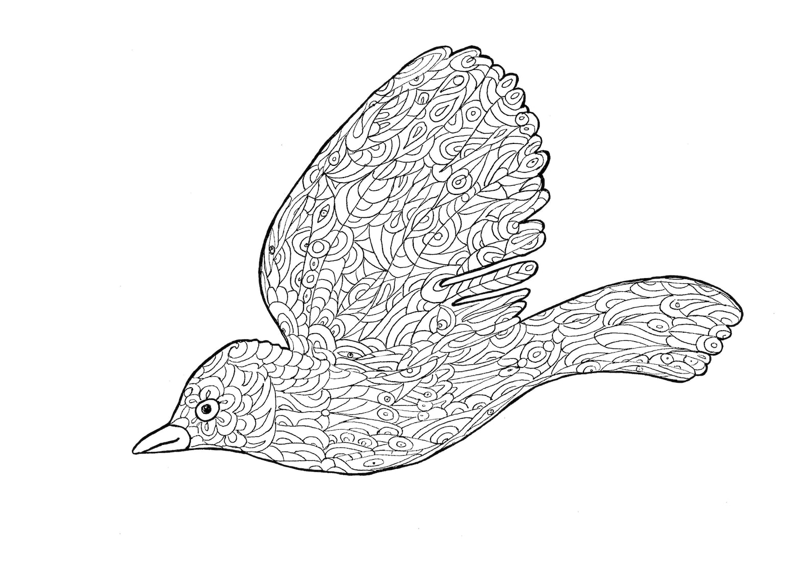 Printable Coloring Pages, Zentangle Bird Drawings, Bird Colouring