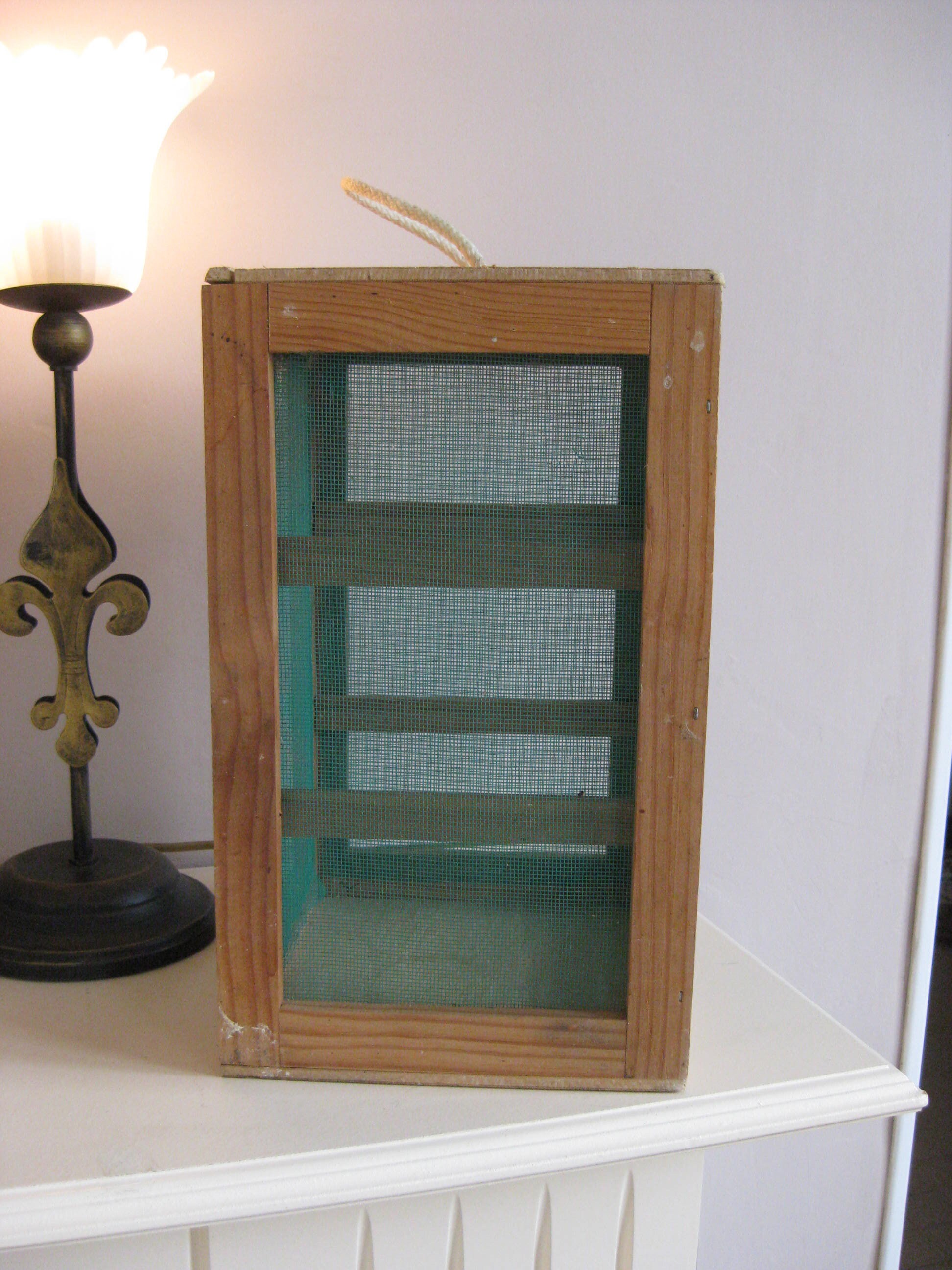 Français Armoire à Fromages Millésimés Garde Manger.