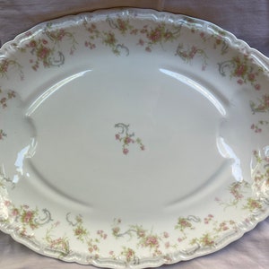 Haviland & Co. Limoges Serving Platter-France