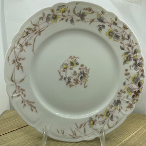 Haviland & Co., Limoges Floral Plate