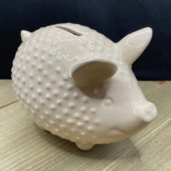 Neutral Bubble Piggy Bank