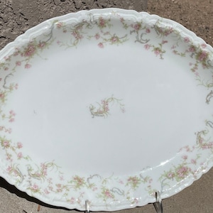 Haviland & Company Limoges Floral and Gilded Princess Serving Platter-France