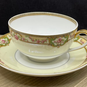 Theodore Haviland Limoges-France Teacup & Saucer