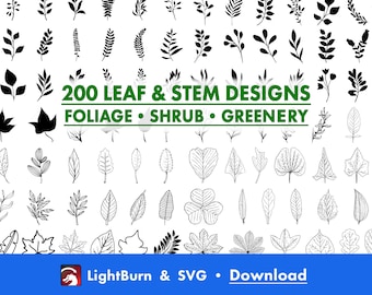 200 blad- en stengelontwerpen: groen-svg, LightBurn-kunstbibliotheek (digitale download)