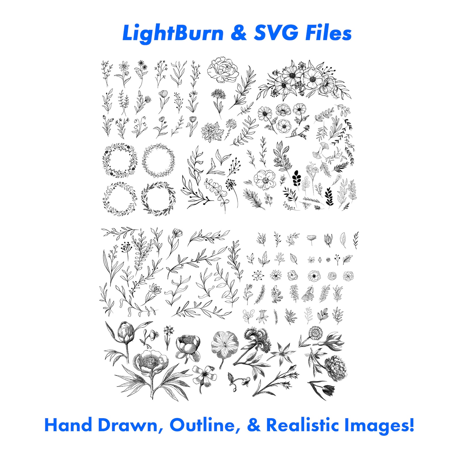 350+ Floral SVG Designs: Hand-drawn Flowers, Plants, Foliage, Lightburn ...