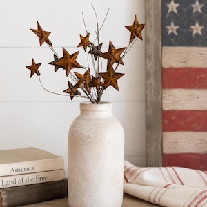 May include: A rustic, off-white ceramic vase holds a bouquet of rusty metal star ornaments. The stars are attached to thin, flexible wires. The background includes a wooden American flag and a stack of books.