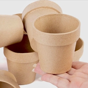 May include: A collection of small, light brown paper flower pots. The pots have a classic shape with a wide rim and a slightly textured surface. The pots are stacked and arranged, suggesting they are ready for planting.