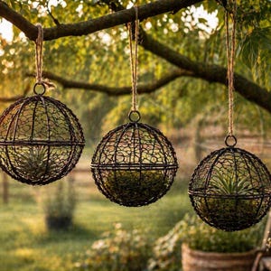 Rustic Wire Orb Decor Set of 3 | Farmhouse Metal Sphere Balls | Garden Centerpiece Fillers | Succulent Display Orbs